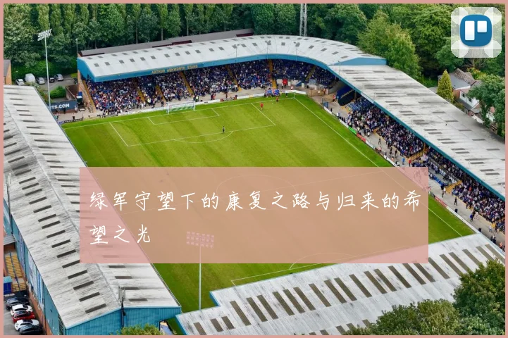 绿军守望下的康复之路与归来的希望之光