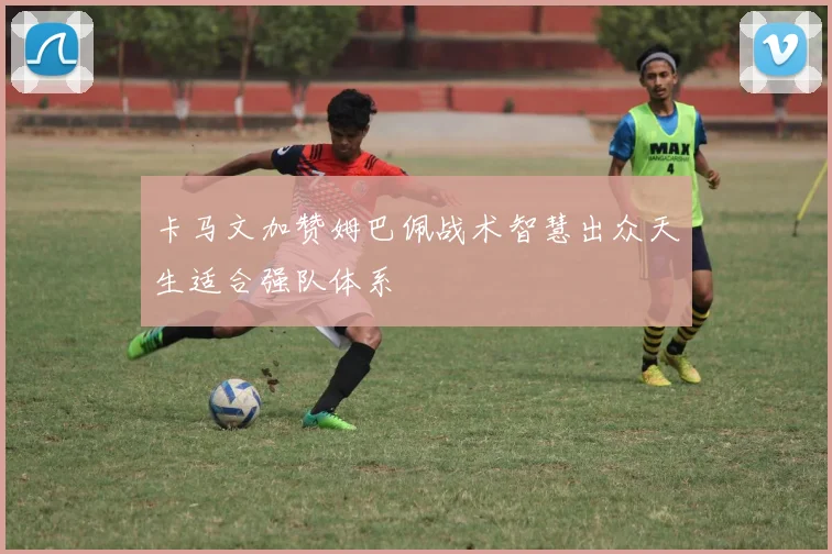 卡马文加赞姆巴佩战术智慧出众天生适合强队体系